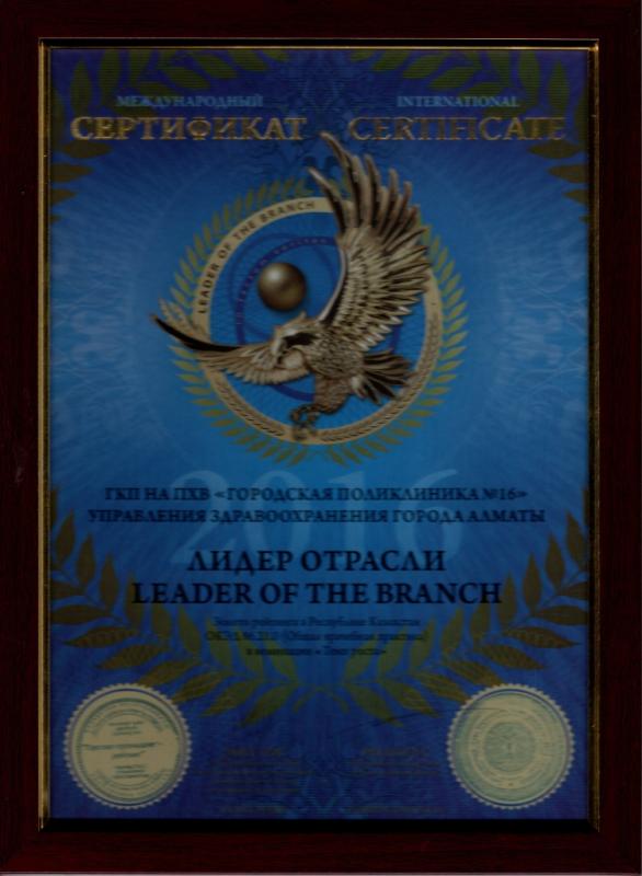 Сертификат: Лидер отрасли 2016 г.